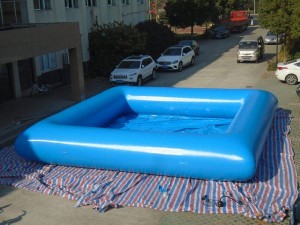 Qual é o melhor companheiro de verão? Qual é o melhor companheiro de verão?